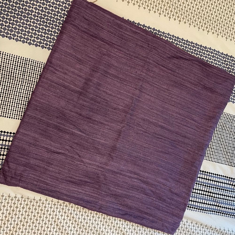 Crate&Barrel 20x20 Accent Pillow Cover